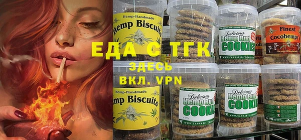 гидра Верхний Тагил