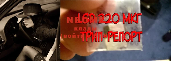 прущая мука Богородицк