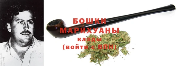 PSILOCYBIN Бородино