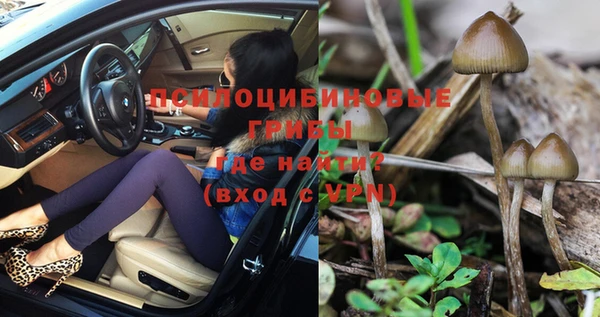 PSILOCYBIN Бородино