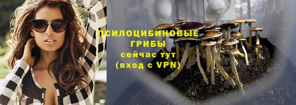 mdpv Богданович