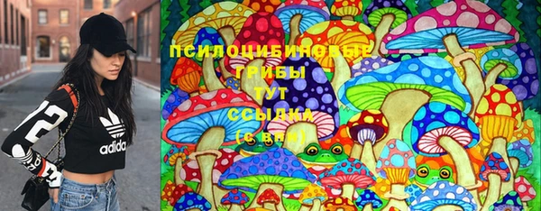 PSILOCYBIN Бородино