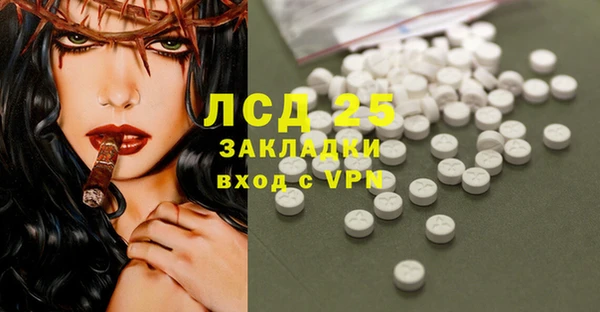 PSILOCYBIN Бородино