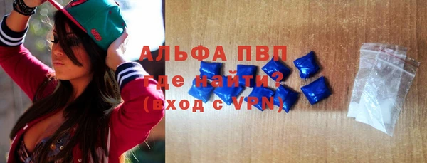 гидра Верхний Тагил