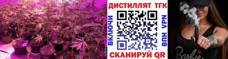 ТГК THC oil  дарнет шоп  Галич 